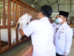 Bupati Kudus Segera Siapkan Upaya Pencegahan PMK