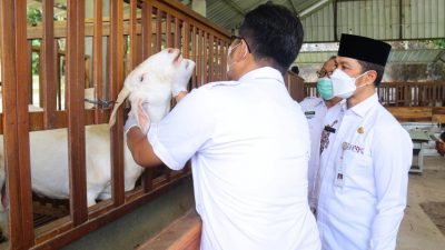 Bupati Kudus Segera Siapkan Upaya Pencegahan PMK