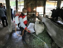 Pemprov Jawa Tengah Janji Beri Bantuan Peternak