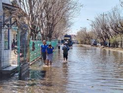 Surut, Aktivitas Tanjung Mas Mulai Beroperasi