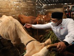 Taj Yasin Apresiasi Inovasi Jamu untuk Tingkatkan Imun Sapi