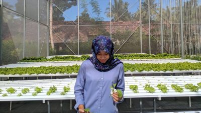 Pemkot Yogyakarta Bentuk Kelembagaan Kelompok Tani