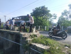 Survei Kepastian Pembangunan Jembatan Kembar