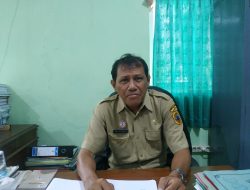 Ribuan Mangrove Baru Tanam Rusak