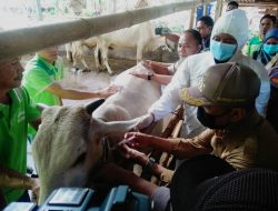 Jepara Awali Vaksinasi PMK di Jateng