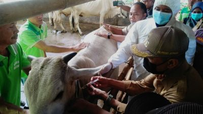 Jepara Awali Vaksinasi PMK di Jateng