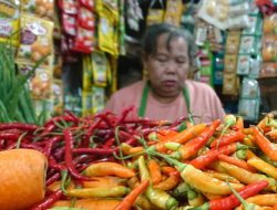 Keluhkan Harga Cabai Meroket