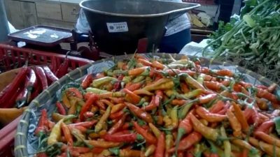 Harga Cabai Rawit Merah Rp 100 Ribu Lebih