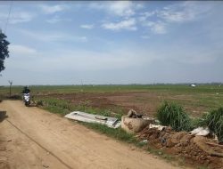 Nihil Puso, Bantuan tak Diajukan