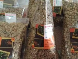 Usulkan Kopi Muria jadi Tanaman Khas Kudus