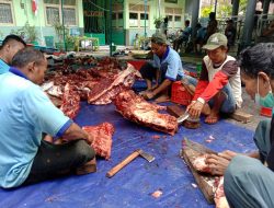 Masjid Agung Kudus Ketambahan 2 Ekor Kambing Kurban