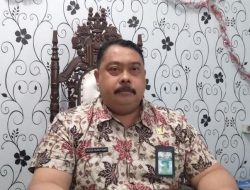 Meski tidak Lolos PPPK, Tenaga Honorer Tetap Dipertahankan