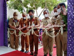 Resmikan Perpustakaan Taman Pintar, Dorong Semangat Literasi Pelajar