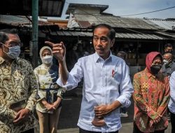 Jokowi: Telur Ayam Turun 2 Pekan ke Depan