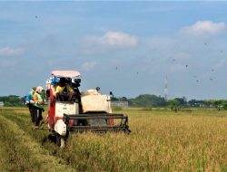 Perkuat Ketahanan Pangan, Pemkab Pati Siapkan Delapan Lumbung Baru