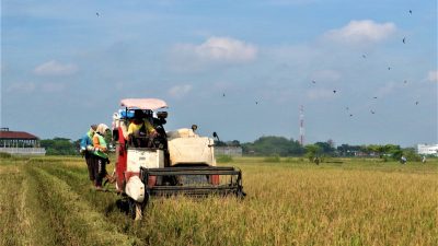 Perkuat Ketahanan Pangan, Pemkab Pati Siapkan Delapan Lumbung Baru