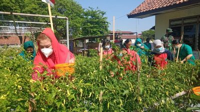 Mbak Ita Dorong Pemanfaatan Lahan Hijau Kota