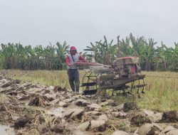 Petani di Pemalang Masih Kesulitan Mendapatkan Solar