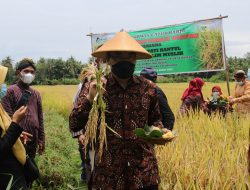 Pertanian Jadi Salah Satu Sektor Unggulan Kabupaten Bantul