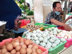 Kenaikan BBM belum Berdampak terhadap Harga Sembako