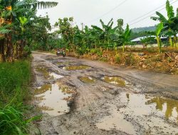 22 Persen Jalan di Kabupaten Pati Masih Rusak