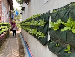Pemkot Yogyakarta Kemas Kampung Sayur dengan Ekonomi Kreatif