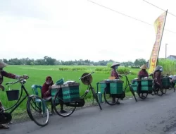 Pemkab Bantul Siapkan Lahan untuk Bahan Baku Industri Jamu