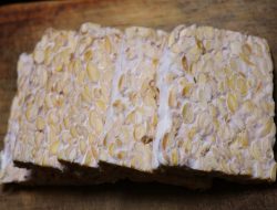 Stok Kedelai Tinggal 7 Hari dan Sumbang Inflasi 0,01 Persen, Apakah Tempe Akan segera Menghilang?