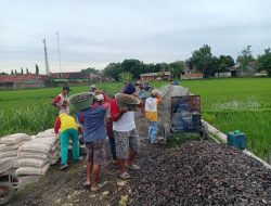 Berdayakan Masyarakat lewat Program Padat Karya