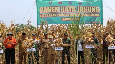 Sukses Panen Jagung, Kodim 0736/Batang Segera Tanam Cabai