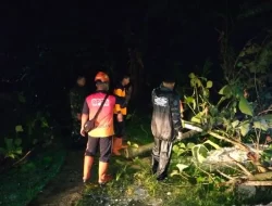 Wilayah Grobogan Dilanda Puting Beliung, BPBD Minta Warga Waspada