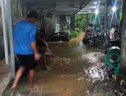 Perlu Tanam Pohon Keras di Pegunungan Kendeng