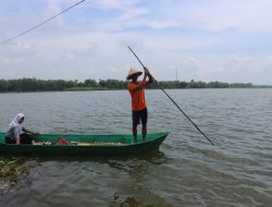 Terendam Banjir Berhari-hari, Ribuan Hektare Sawah di Pati Dinyatakan Puso