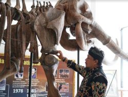 Gedung Baru Museum Patiayam Siap Dibuka Setelah Lebaran