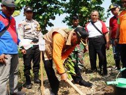 Pemulihan Hutan di Pegunungan Kendeng Butuh Waktu Lama