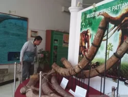 Museum Patiayam Kudus Alami Peningkatan Pengunjung