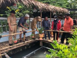 Manfaatkan Selokan, Budidaya Ikan untuk Ketahan Pangan