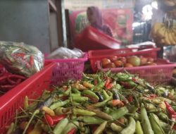 Sepekan Puasa, Harga Cabe Terjun Payung