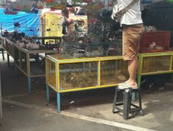 Tawarkan Kelinci di Dandangan