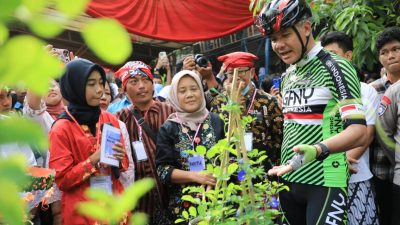 Panen Bunga Telang, Ganjar Senang Siswa SMP Negeri 30 Semarang Kembangkan Urban Farming