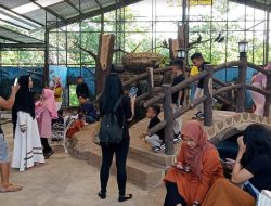 Semarang Zoo Siapkan Pembangunan Wahana Baru