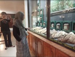 Pengunjung Museum Kretek Masih Seperti Hari Biasa