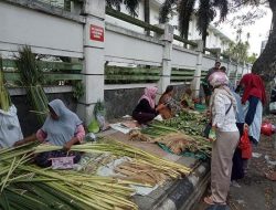 Lebaran 2023, Omzet Penjualan Janur Menurun