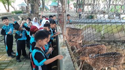 SD 1 Barongan Kembali Giatkan Pembiasaan Adiwiyata, Bekal Maju Adiwiyata Mandiri