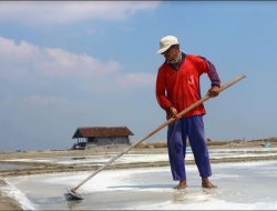 2023, Produksi Garam di Pati Diperkirakan Capai 200 Ribu Ton