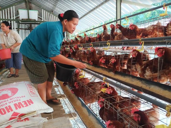 peternakan milik Sunarto Mambak, Pakis Aji