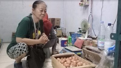 Pemasok Telur Keluhkan Harga Pakan Ayam Mahal