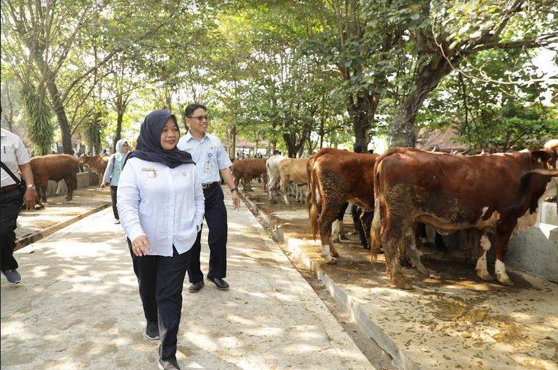 Bupati Sleman Kustini Sri Purnomo