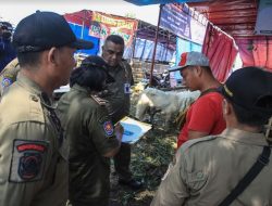 Satpol PP Kota Semarang Temukan 1 Hewan Terpapar PMK