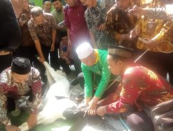 Jaga Kehalalan Daging Kurban, Kemenag Pemalang Gelar Bimtek Juleha
